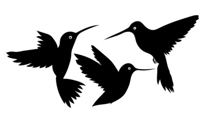 Set of black bird silhouettes. Vector elements for design.
