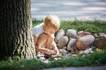A little boy squats by a large tree trunk and plays with pebbles.