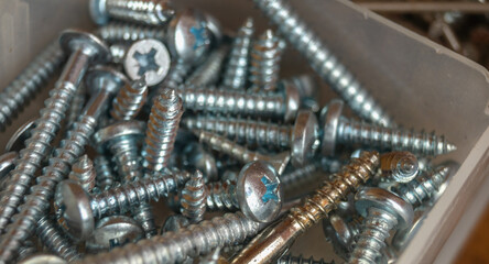 Metal screws in a plastic box. Metal screws close up. Long screws. Shining screws