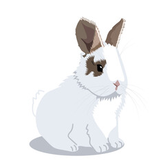 Cute fluffy rabbit is sitting. Pets. Vector illustration in cartoon style on a white background