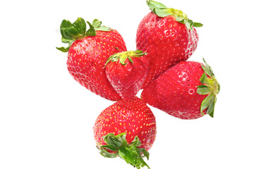 group of five strawberries, on white background
