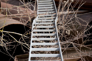 old metal ladder