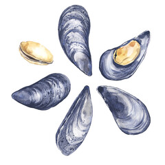 Watercolor illustrated mussel set © darina.ill