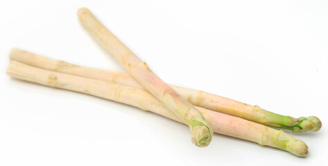 German White Asparagus