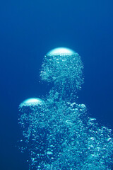A beautiful air bubbles during a scuba dive on Curacao island in the Caribbean Sea. Scuba Diving...