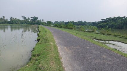 Fototapeta na wymiar landscape with fish field and road