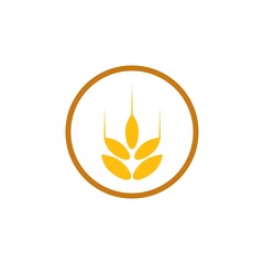 Agriculture wheat Logo Template vector icon