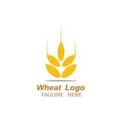 Agriculture wheat Logo Template vector icon