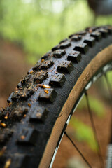 Front tubeless puncture resistant tire closeup - enduro downhill mtb
