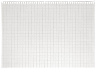Checked spiral notebook page paper background, old aged white chequered ring binder sheet flat lay A4 copy space, isolated horizontal grey squared pattern maths notepad, torn out stapled blank empty - Powered by Adobe