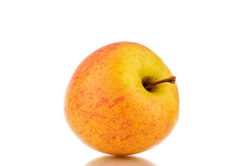 One sweet ripe apple, close-up, isolated on a white background.