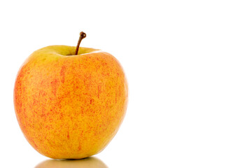 One sweet ripe apple, close-up, isolated on a white background.