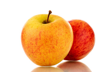 Two sweet ripe apples, close-up, isolated on a white background.