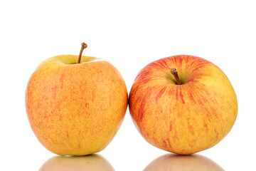 Two sweet ripe apples, close-up, isolated on a white background.