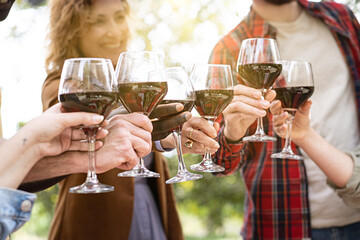 cropped shot of friends clinking glasses of red wine in the countryside - multigenerational group of people toasting wineglasses at farmhouse