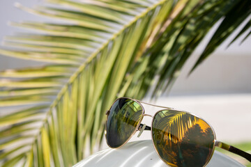 Sunglasses with a reflection of palm branch. Palm tree on the background