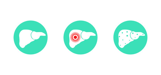 Liver icon set. Human organ vector illustration. Medical concept.