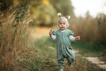 cute little toddler girl learning to walk in the park, Adorable kid play with grass. plants, on a...