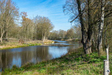 river true the forest with blue sky in the Netherlands