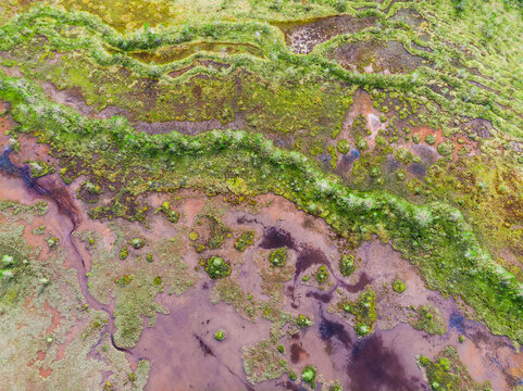 Aerial view on natural swamp from above, wild nature background - Karelia region, Russia