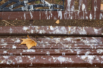 Brown wooden bench with bird shit. Bird droppings on a bench in a park or street, as a symbol of...