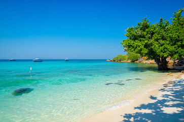 Beautiful tropical beach of Ko Lan, island near Pattaya, Thailand - obrazy, fototapety, plakaty