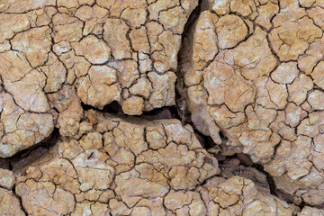 cracked pattern of the mud that had been left until completely dry