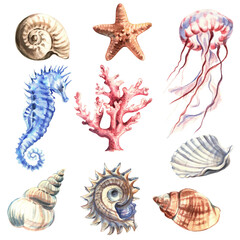 set of seashells © JannaArtStudio