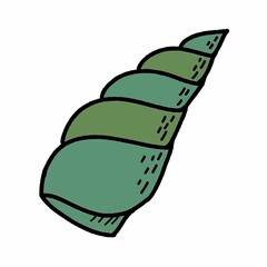 Ocean Sea Shells Graphic Art Clip Art