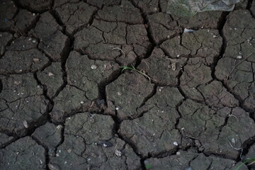 Close up view on cracked, arid brown surface of soil with some garbage in park of European town. Picture has copy space and can be used as background. 