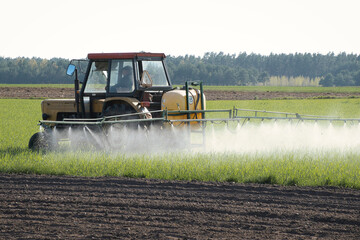 Fototapeta premium traktor z opryskiwaczem jedzie po polu opryskując wschodzące rośliny