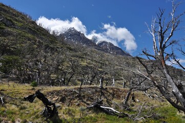 Fototapeta na wymiar Torres del Paine National Park, Chile.