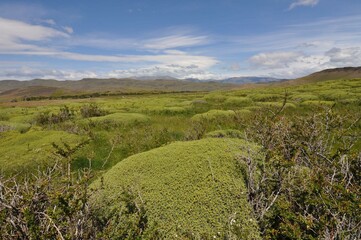 Fototapeta premium Torres del Paine National Park, Chile.