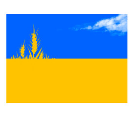 Ukrainian flag with wheat spikelets and cloud