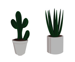 illustration of flowers in pots in a minimalist style