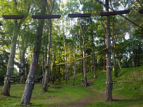 Irchester Jungle Parc