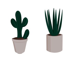 illustration of flowers in pots in a minimalist style