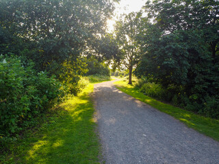 Irchester Country Park - Trees Overshadowing Path