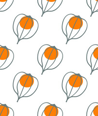 Ripe physalis. Hand drawn ink doodle style. Seamless pattern with fruits and berries.
