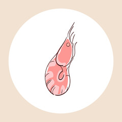 Vector hand-drawn illustration of shrimp