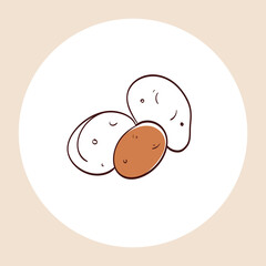 Vector hand-drawn illustration of potatoes