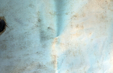 Deer hide background or texture