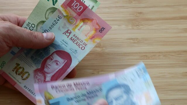 Counting mexican money, pesos banknotes, financial business concept
