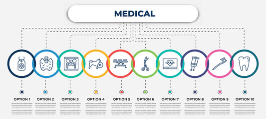 vector infographic template with icons and 10 options or steps. infographic for medical concept. included tag with a cross, thyroid gland, x ray of bones, canine, table of treatments, opened medical