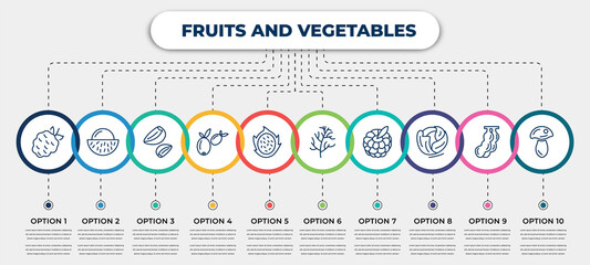 vector infographic template with icons and 10 options or steps. infographic for fruits and vegetables concept. included blackberry, rambutan, garlic, olive, pitaya, dill, raspberry, cabbage,