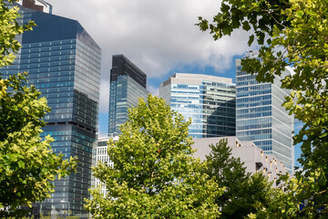 Obraz na płótnie Canvas Modern office buildings near the city park with big green trees