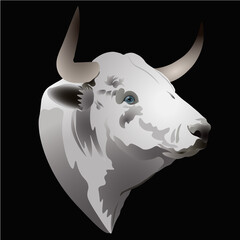 Vector illustration of a bull head  on a black background