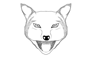 
snarling wolf sketch illustrated on a white background