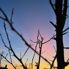 Por do sol e natureza