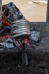 Obraz premium Malaga style of preparation of fresh fish, catch of the day, on skewers and open flame on fireplace with olive trees wood